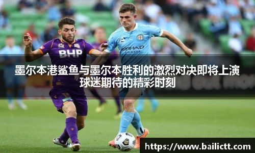 zoty中欧官方网站